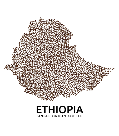 Ethiopia Coffee: Brewing Tips, History and Flavour Notes - Must know!